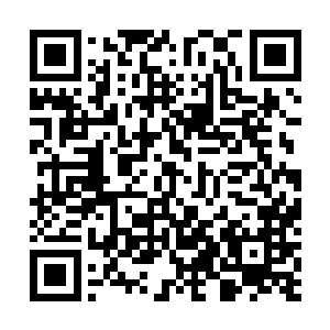 整个人丝毫不停的围绕着少年缓缓下落的身体旋转了起来二维码生成
