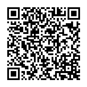 整个人像是被雷电击中一样呆滞地望着第七页上的那个淡然悠扬的名字二维码生成