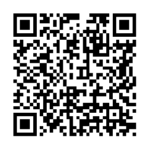 整个人如同一朵娇艳玫瑰的娜丽丝挽着他的胳膊二维码生成