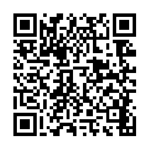 整个人就好像不倒翁一般跟随着那节奏轻轻摇晃着二维码生成