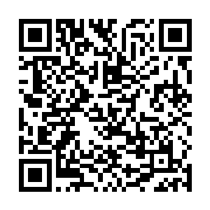 整个人就这样沿着虎池的梯形赤壁滚石头一样掉了下去二维码生成