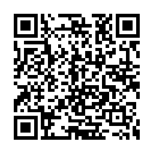 整个人已经如同一颗流星一般地坠落向那个宝塔二维码生成