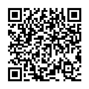 整个人手脚并用像无尾熊一样攀到了力戎的手臂上・・・・・・二维码生成