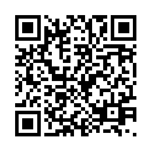 整个人的精气神与初来特训班时都有些不同了二维码生成