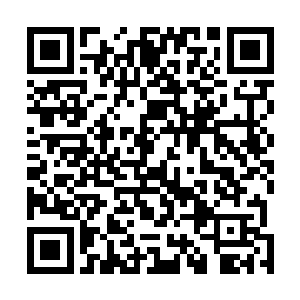 整个人的身上也直接再一次散发出一股恐怖的强大的斗志二维码生成