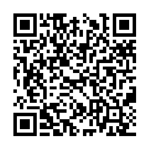 整个人的身体也开始不断的在大殿之中来回的飞窜二维码生成