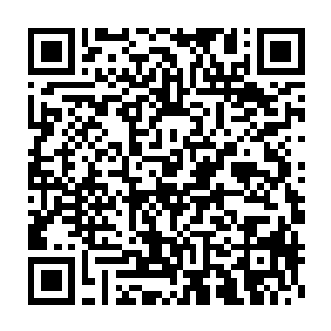 整个人的身体竟然直接化作一朵恐怖的遮天蔽日的恐怖的黑色的莲花二维码生成