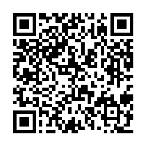 整个人看上去神采飞扬的男子从马车内走了出来二维码生成