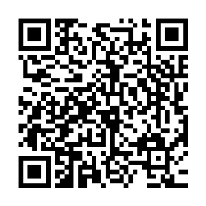 整个人看起来真是识大体了不少――估计这其中还有皇后的教导二维码生成