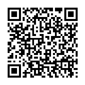 整个人给人的感觉就仿佛一头恐怖的人形凶兽一般二维码生成