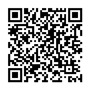 整个人连带脚下才生出的仙云咻的被摄入了秀林中消失不见二维码生成
