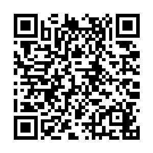 整个人都仿似长了翅膀一样兴奋地冲到点歌台去了二维码生成