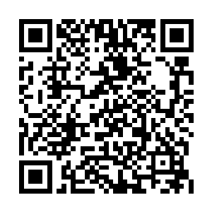 整个人都变成了附着着火红色鳞片的半龙人造型二维码生成