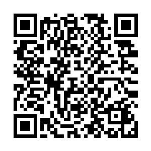 整个人都笼罩在斗篷里的苔丝女士居然没有追究这一点二维码生成