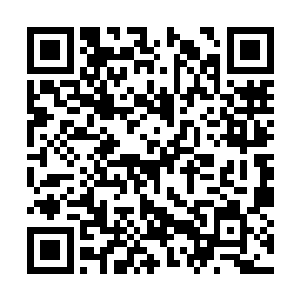 整个人除了一件已经被鲜血染透四分五裂的蟒蚕袍二维码生成