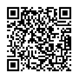 整个仙界所有大陆加起来可是有着两千亿左右的修士二维码生成
