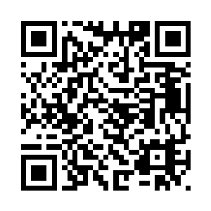 整个佣兵之城可以看到的显示器上二维码生成