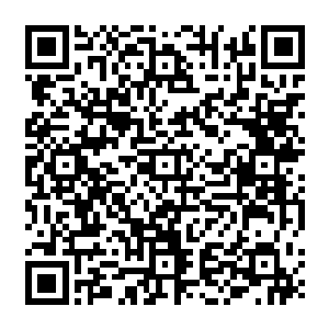 整个储物空间原本安安静静处于沉寂的灵气云随着小世界的疯狂吸收似乎失去了某种控制二维码生成