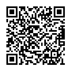 整个儿如同脱线的风筝一般被踹离了足有三尺远二维码生成