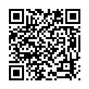 整个养殖基地已经死了五百多只了二维码生成