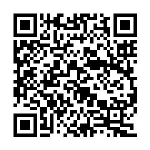 整个冰雪荒原南部原野上的黄金沙棘树全部绽放二维码生成