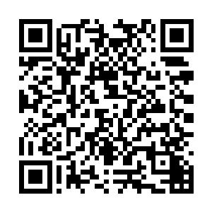 整个别墅区内都响彻着这群血气方刚的汉子的声音二维码生成