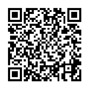 整个前溪县的人在这一刻都感到一股天劫来临的错觉二维码生成