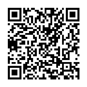 整个北方防线中的一段城墙和阵法都被轰成了齑粉二维码生成