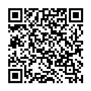 整个北美的各大城市就已经开始沸腾了――准确来说二维码生成