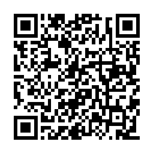 整个半年的时间对于张蜀生来说都是异常忙碌的二维码生成