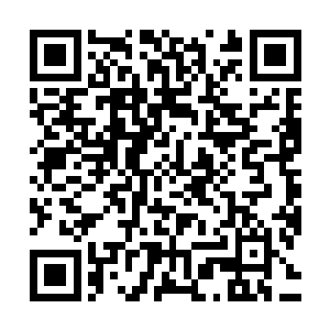 整个华夏民国政fu机构的各级官员差不多已经到达了数十万人二维码生成