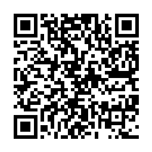 整个四层长廊看起来就仿佛是一个时代一部分的缩影一样二维码生成