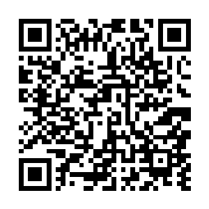 整个城主府被如星辰一般的颗颗夜明珠照耀得一片通明二维码生成
