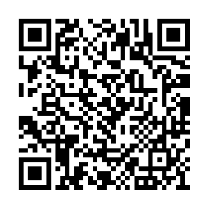 整个城市之中依旧在活动的学子也只剩下了九人二维码生成