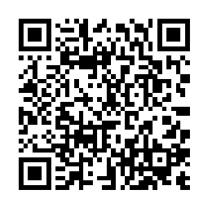 整个大厅之中此刻也有不少骑士在悄悄打量着兰云曦二维码生成