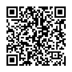 整个大殿之中的天地灵气就达到了一股令人无比震惊的程度二维码生成