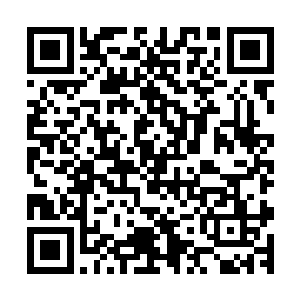 整个大殿之中瞬间被笼罩到了一股无比恐怖的森冷的杀气之中二维码生成