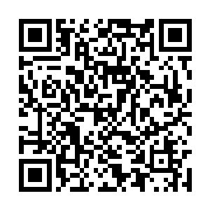 整个大殿瞬间直接笼罩在了龙傲天的杀戮领域之中二维码生成