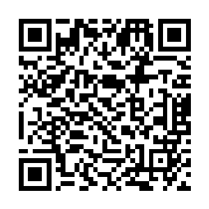 整个大陆都必须考虑她之后的人类世界究竟如何自安二维码生成