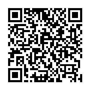 整个天龙食品厂四周的铁栅栏上到处都是密密麻麻的人影二维码生成