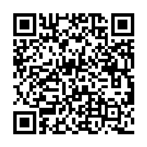 整个太玄宗都知道今天青炎和杨木森就会到达太玄宗二维码生成