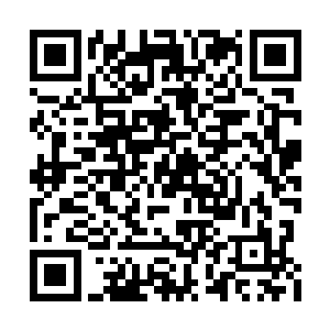 整个宫殿的空间法则在这一刹那全都化为了乌有二维码生成
