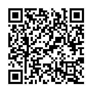 整个密室之中全都充斥着一股令人心旷神怡的香气二维码生成