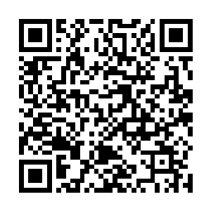 整个小脸上的那种纠结劲儿把四周的几个大人都逗乐了二维码生成