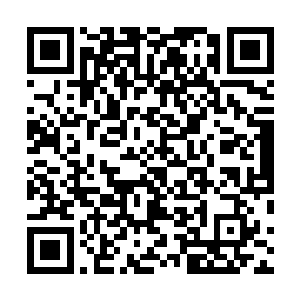 整个小镇原本安静的气场突然都疯狂的朝着酒店这边涌来二维码生成