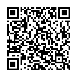 整个岛屿在许紫烟的视野中随着她的升高而变小二维码生成