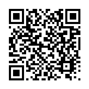 整个工作室活得最长的也就是苏叶了二维码生成