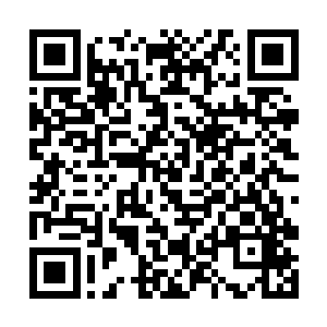 整个幽冥界好似隐隐发生了某种说不清道不明的变化二维码生成