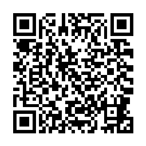 整个幽暗星除了我们琉璃门之外再没别的地方有这种灵果二维码生成