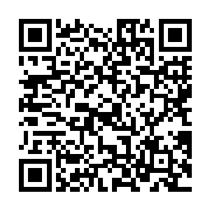 整个房间里都是玫瑰花海……怎么有女性会舍得拒绝他二维码生成